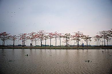 96核Zen4 AMD下代锐龙线程撕裂者路线图现身